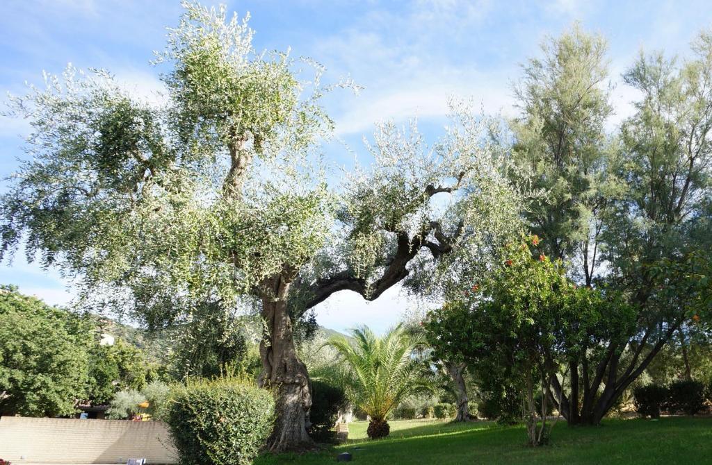 Oasimaremma Village Скарліно Екстер'єр фото